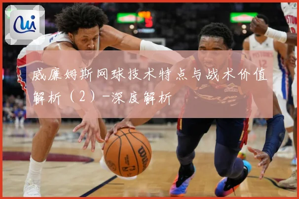 威廉姆斯网球技术特点与战术价值解析（2）-深度解析