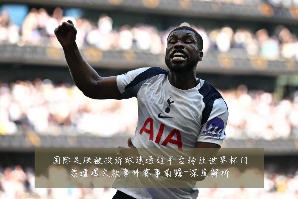 国际足联被投诉球迷通过平台转让世界杯门票遭遇欠款事件赛事前瞻-深度解析